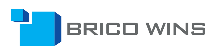 Logo Brico Wins